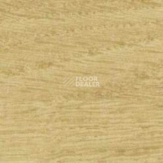 Линолеум Taralay Initial Comfort 0024 Chamois фото 1 | FLOORDEALER